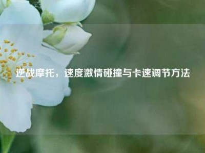 逆战摩托，速度     碰撞与卡速调节     