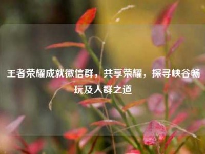 王者荣耀成就微信群，共享荣耀，探寻峡谷畅玩及入群之道