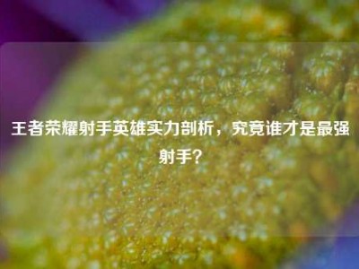 王者荣耀射手英雄实力剖析，究竟谁才是最强射手？