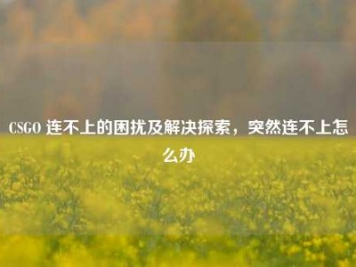 CSGO 连不上的困扰及解决探索，突然连不上怎么办