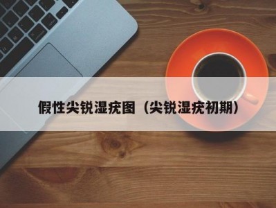 假性尖锐湿疣图（尖锐湿疣初期）