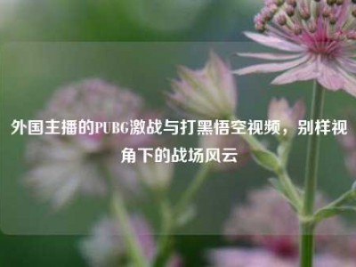 外国主播的PUBG激战与打黑悟空视频，别样视角下的战场风云