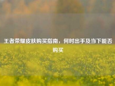 王者荣耀皮肤购买指南，何时出手及当下能否购买