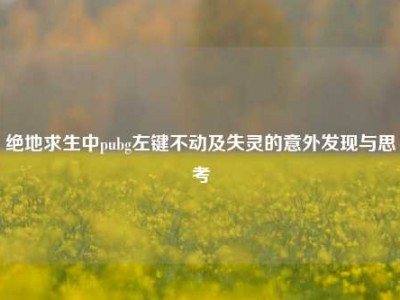 绝地求生中pubg左键不动及失灵的意外发现与思考