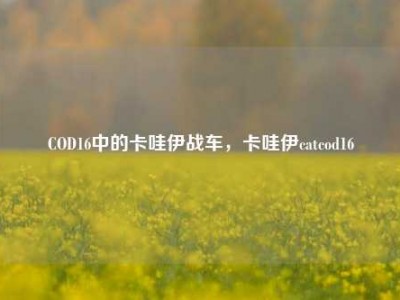 COD16中的卡哇伊战车，卡哇伊catcod16