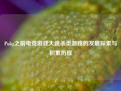 Pubg之前电竞游戏大逃杀类游戏的发展探索与积累历程