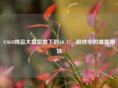 CSGO饰品大盘指数下的AK 47，游戏中的璀璨明珠