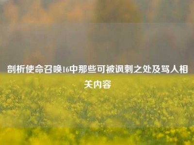剖析使命召唤16中那些可被讽刺之处及骂人相关内容