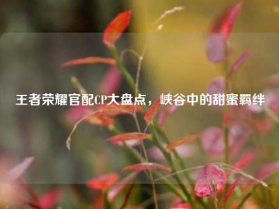 王者荣耀官配CP大盘点，峡谷中的甜蜜羁绊