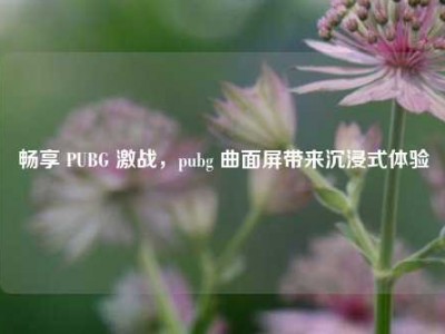 畅享 PUBG 激战，pubg 曲面屏带来沉浸式体验