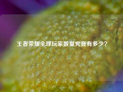 王者荣耀全球玩家数量究竟有多少？