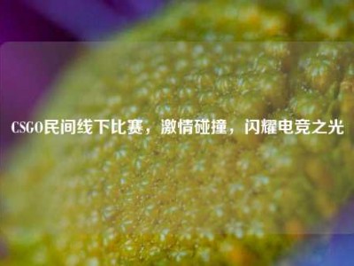 CSGO民间线下比赛，激情碰撞，闪耀电竞之光