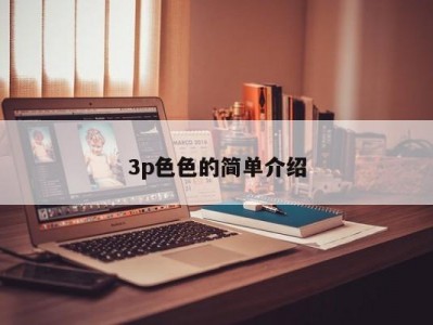 3p色色的简单介绍
