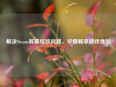 解决Steam屏幕缩放问题，尽情畅享游戏体验