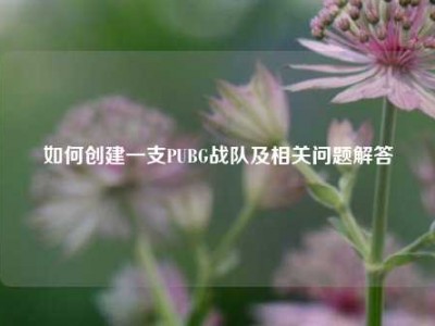 如何创建一支PUBG战队及相关问题解答