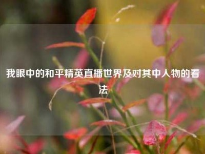 我眼中的和平精英直播世界及对其中人物的看法