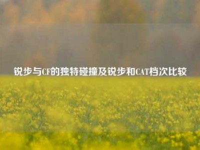 锐步与CF的独特碰撞及锐步和CAT档次比较