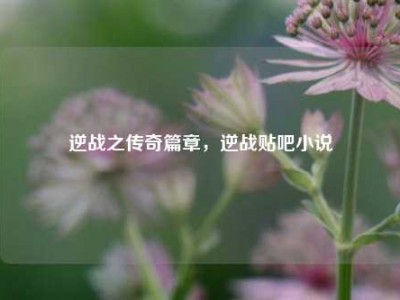 逆战之传奇篇章，逆战贴吧小说