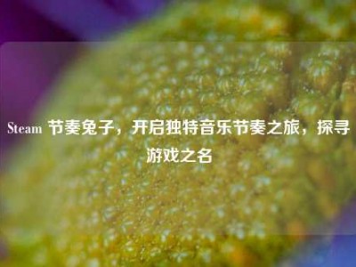 Steam 节奏兔子，开启独特音乐节奏之旅，探寻游戏之名
