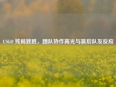 CSGO 残局致胜，团队协作高光与赢后队友反应