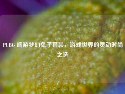 PUBG 端游梦幻兔子套装，游戏世界的灵动时尚之选