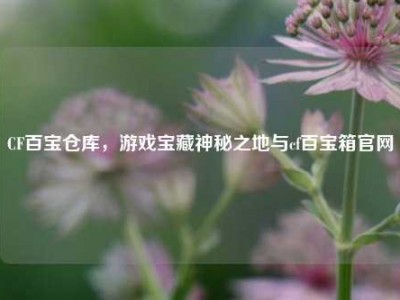 CF百宝仓库，游戏宝藏神秘之地与cf百宝箱官网