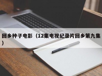 回乡种子电影（12集电视纪录片回乡第九集）