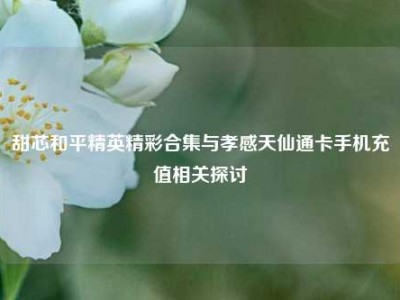 甜芯和平精英精彩合集与孝感天仙通卡手机充值相关探讨