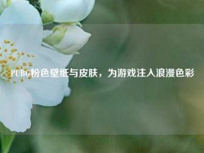 PUBG粉色壁纸与皮肤，为游戏注入浪漫色彩