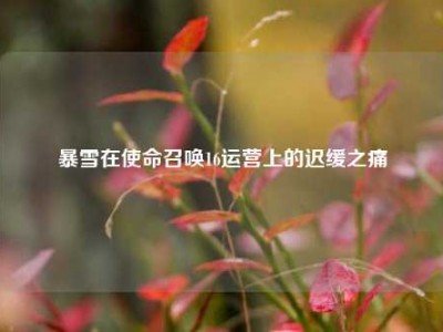 暴雪在使命召唤16运营上的迟缓之痛