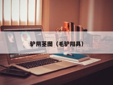 驴阴茎图（毛驴阳具）