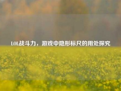 LOL战斗力，游戏中隐形标尺的用处探究