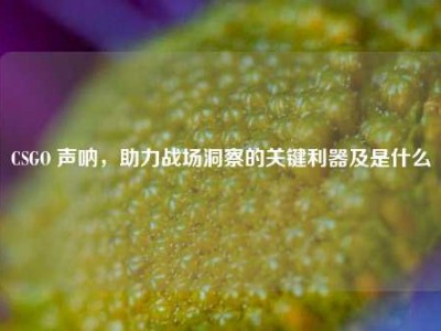 CSGO 声呐，助力战场洞察的关键利器及是什么