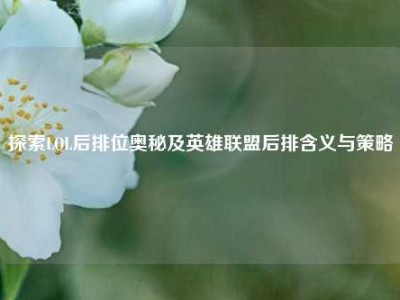 探索LOL后排位奥秘及英雄联盟后排含义与策略