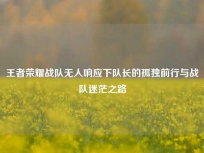 王者荣耀战队无人响应下队长的孤独前行与战队迷茫之路