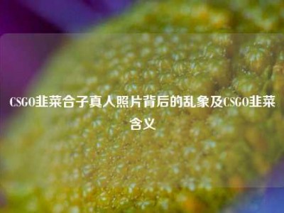 CSGO韭菜合子真人照片背后的乱象及CSGO韭菜含义