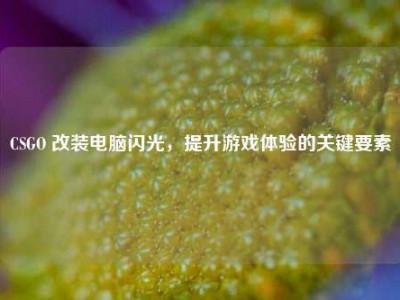 CSGO 改装电脑闪光，提升游戏体验的关键要素