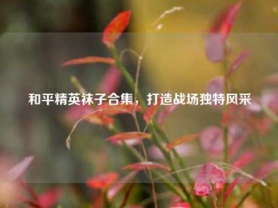 和平精英袜子合集，打造战场独特风采