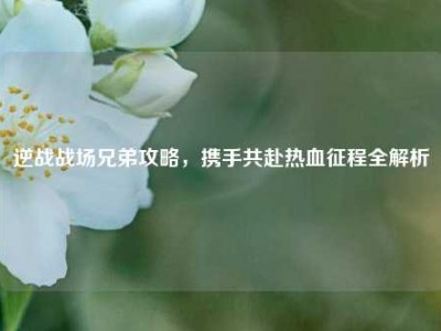 逆战战场兄弟攻略，携手共赴热血征程全解析