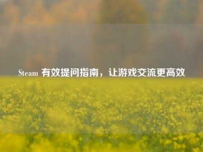 Steam 有效提问指南，让游戏交流更高效