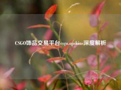 CSGO饰品交易平台csgo.opskins深度解析