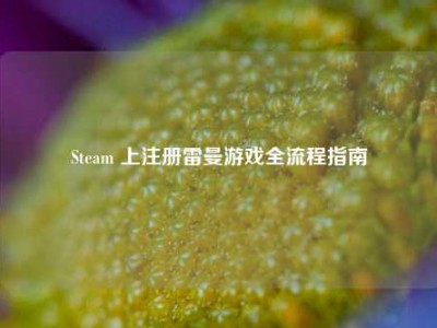 Steam 上注册雷曼游戏全流程指南