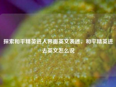 探索和平精英进入界面英文表述，和平精英进去英文怎么说
