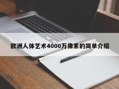欧洲人体艺术4000万像素的简单介绍