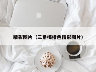 精彩图片（三角梅橙色精彩图片）