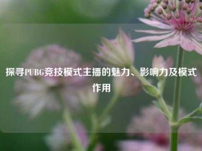 探寻PUBG竞技模式主播的魅力、影响力及模式作用