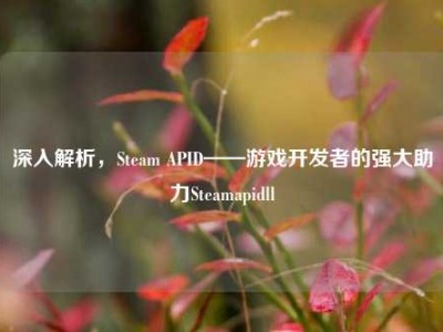 深入解析，Steam APID——游戏开发者的强大助力Steamapidll
