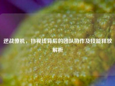 逆战僚机，挡视线背后的团队协作及技能释放解析