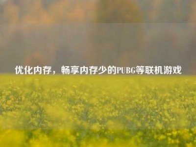 优化内存，畅享内存少的PUBG等联机游戏