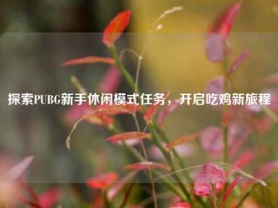 探索PUBG新手休闲模式任务，开启吃鸡新旅程